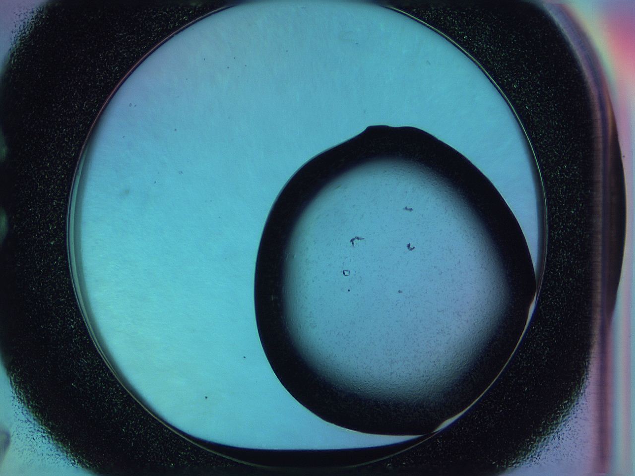 0583_C7_ImagerDefaults_2.jpg