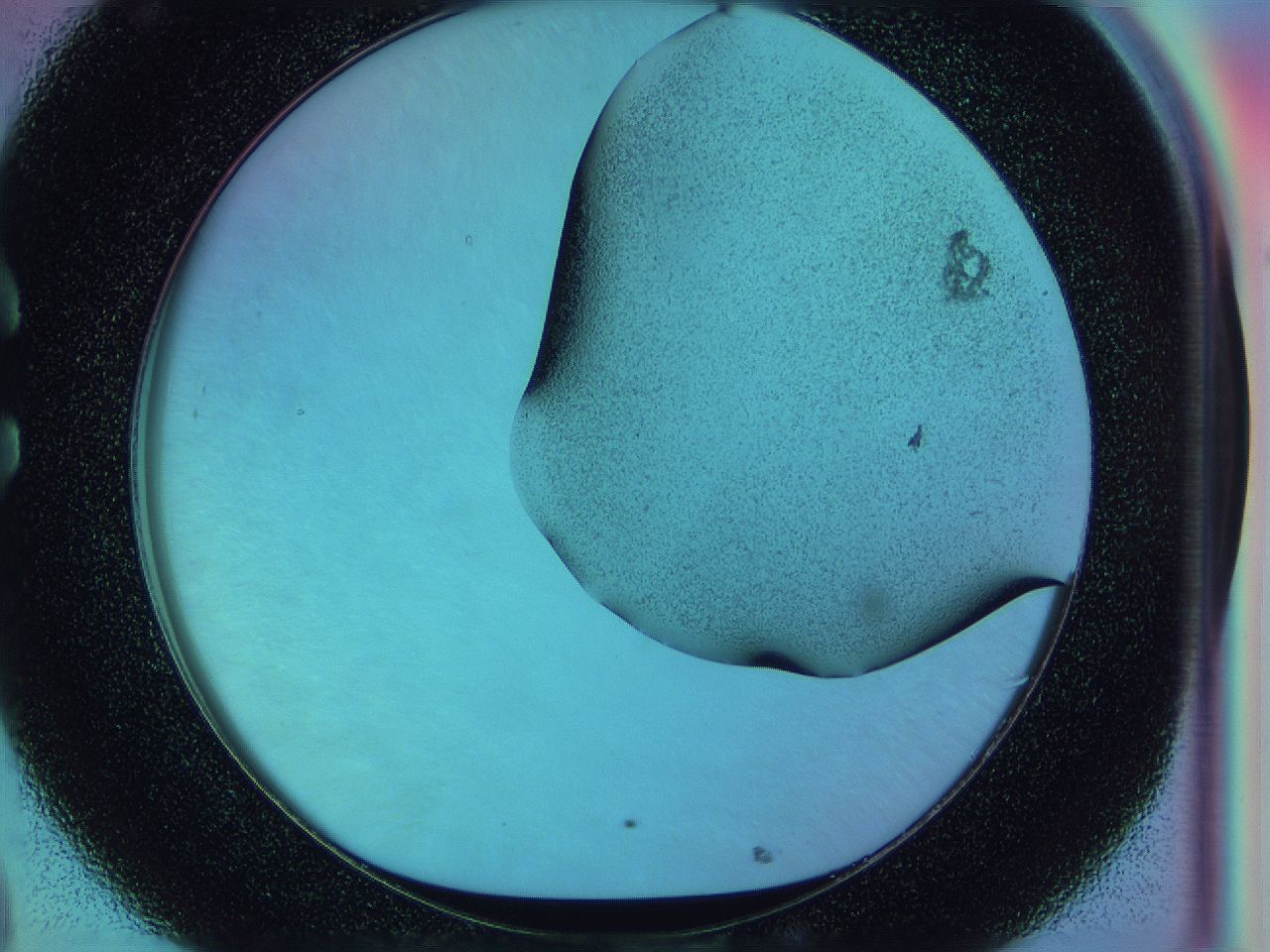 0583_C8_ImagerDefaults_2.jpg