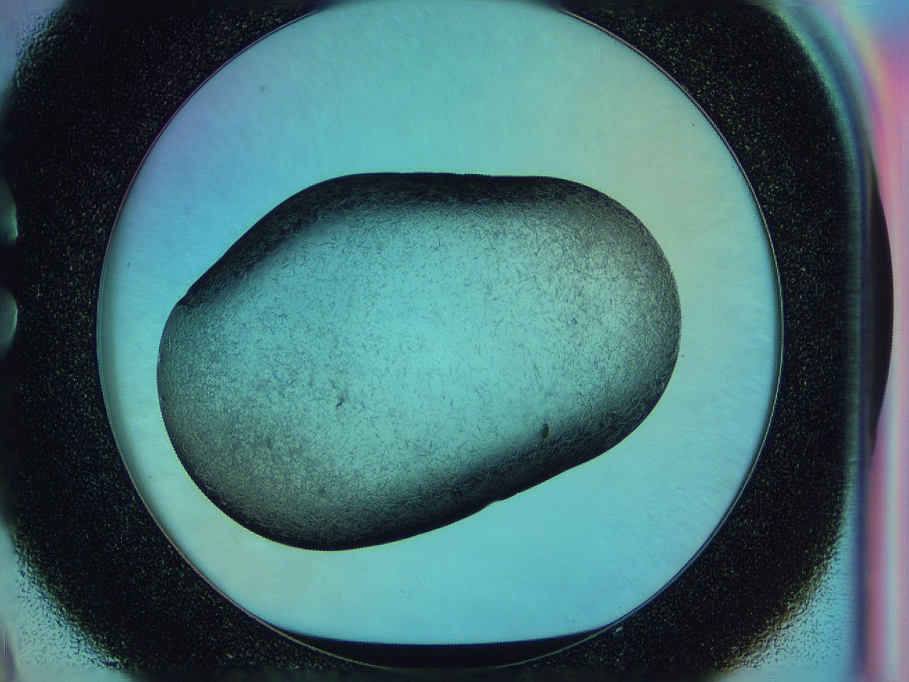 0583_C9_ImagerDefaults_3.jpg