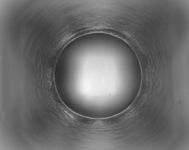 X0000055061265200508161636.png