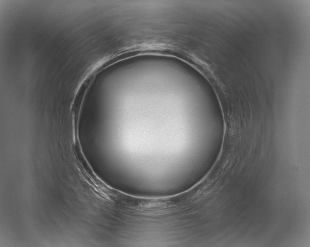 X0000055211171200508301314.png