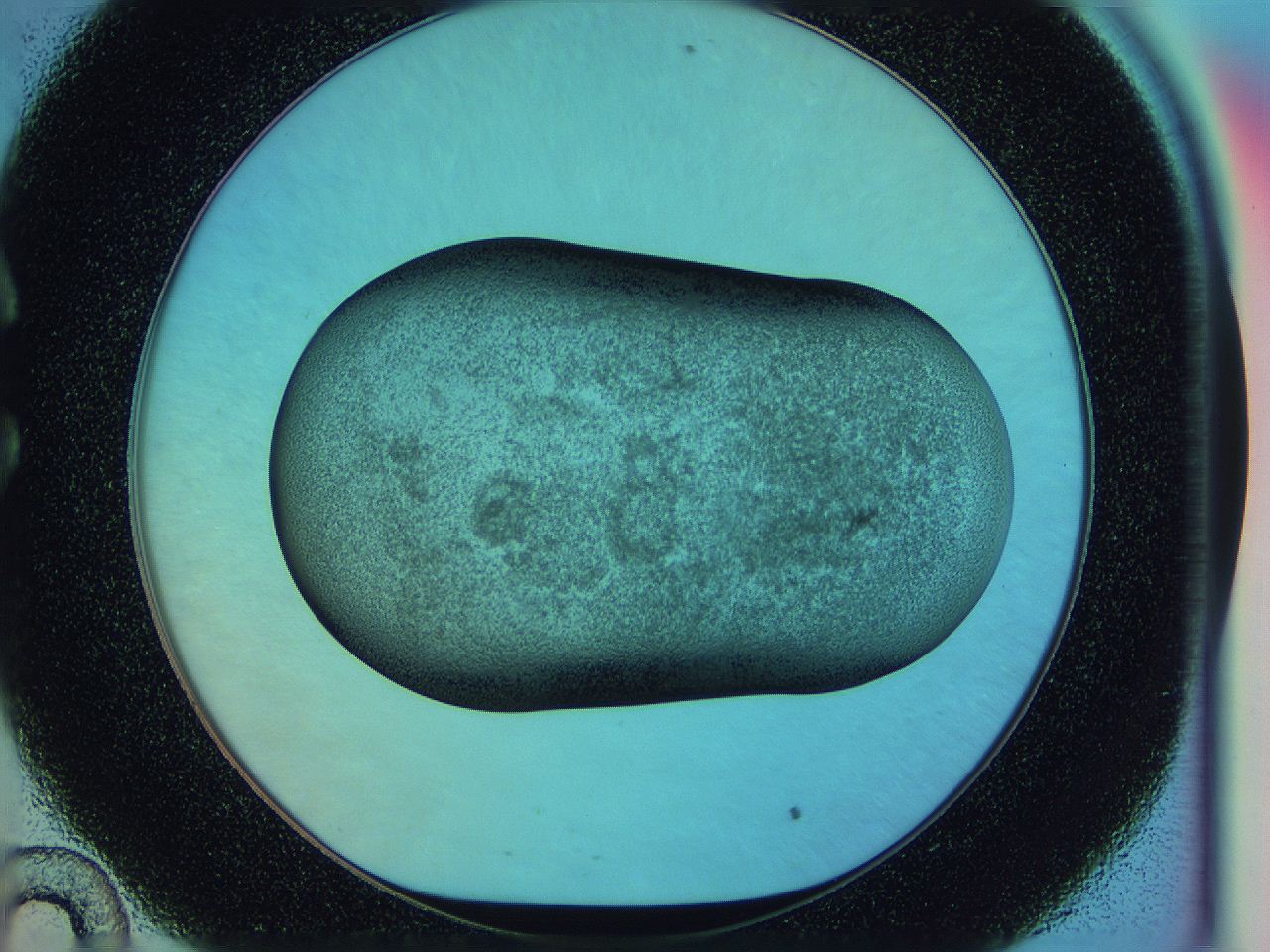 0583_C10_ImagerDefaults_3.jpg