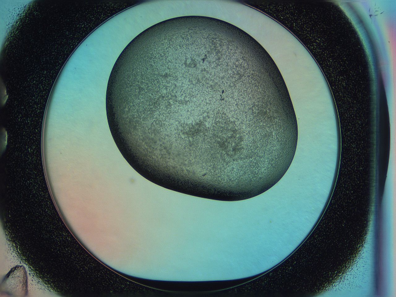 0583_C11_ImagerDefaults_3.jpg