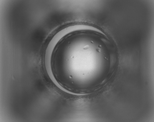 X0000054110584200508022101.png