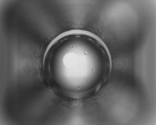 X0000045450084200502011707.png