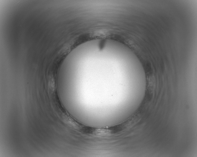 X0000054330617200508111921.png