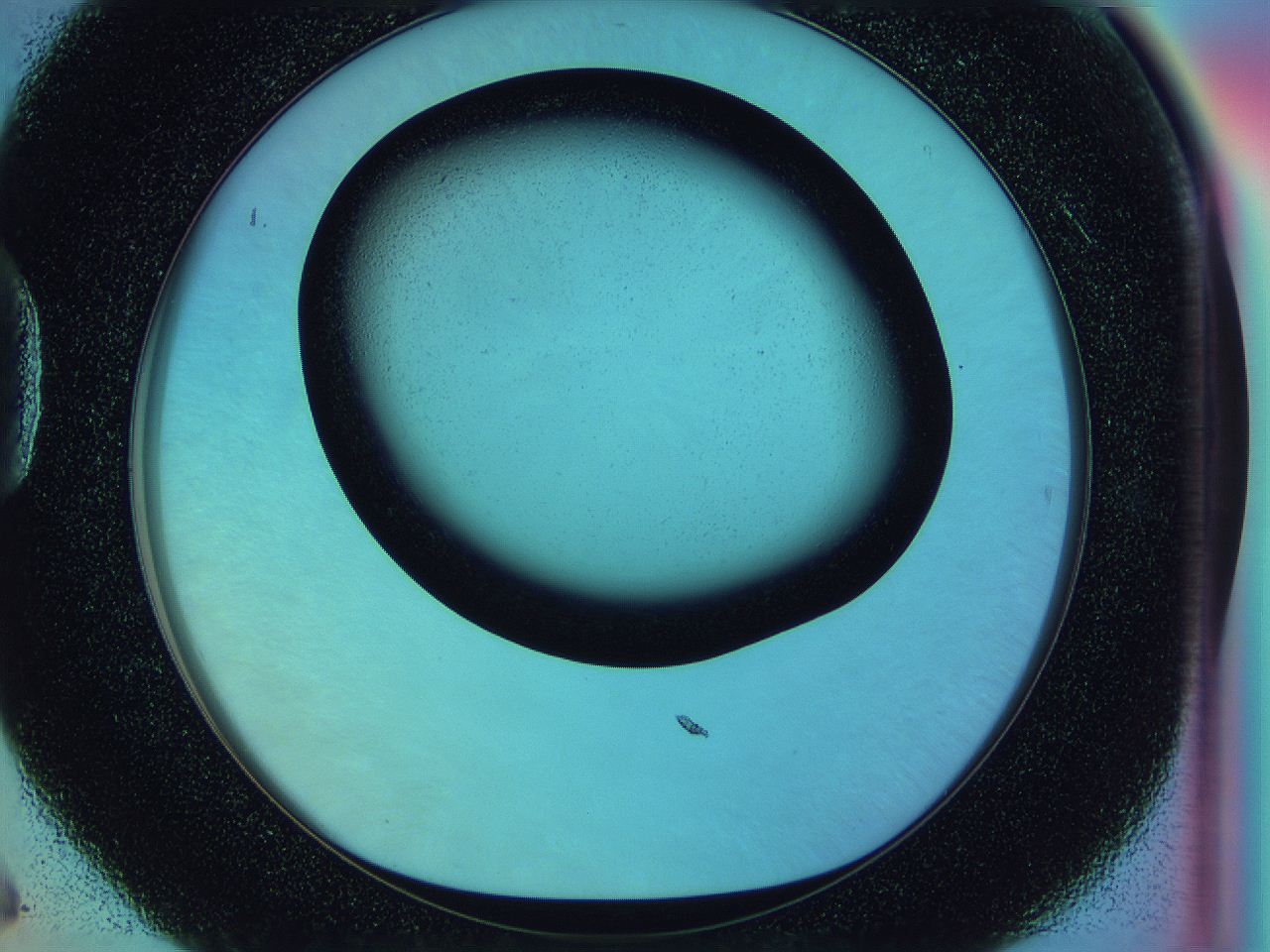 0583_D6_ImagerDefaults_0.jpg