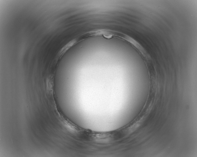 X0000054330857200508111917.png