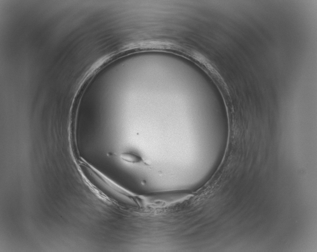 X0000055211237200508301313.png