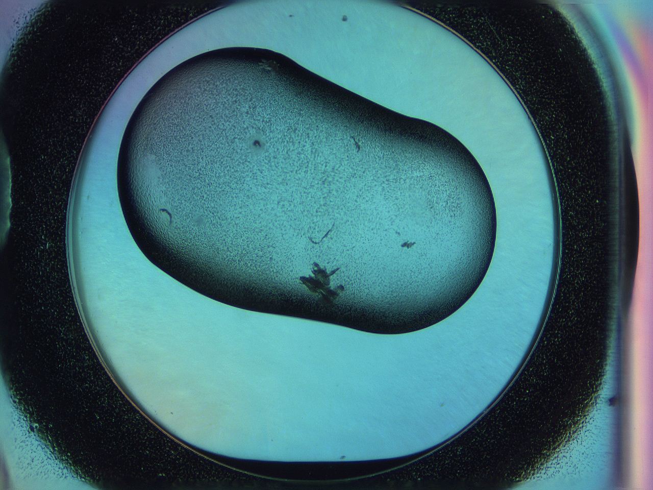0583_D9_ImagerDefaults_3.jpg