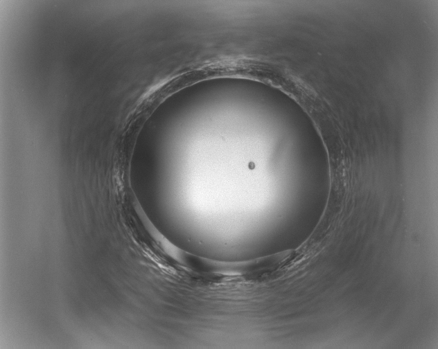 X0000055061206200508161637.png