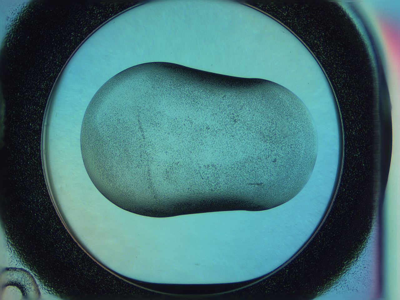 0583_D10_ImagerDefaults_3.jpg