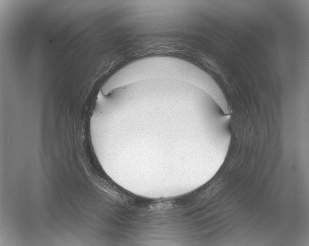 X0000054270362200508261922.png