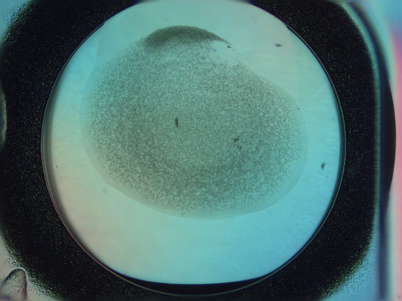 0583_D11_ImagerDefaults_3.jpg