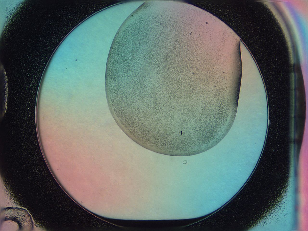 0583_D12_ImagerDefaults_3.jpg