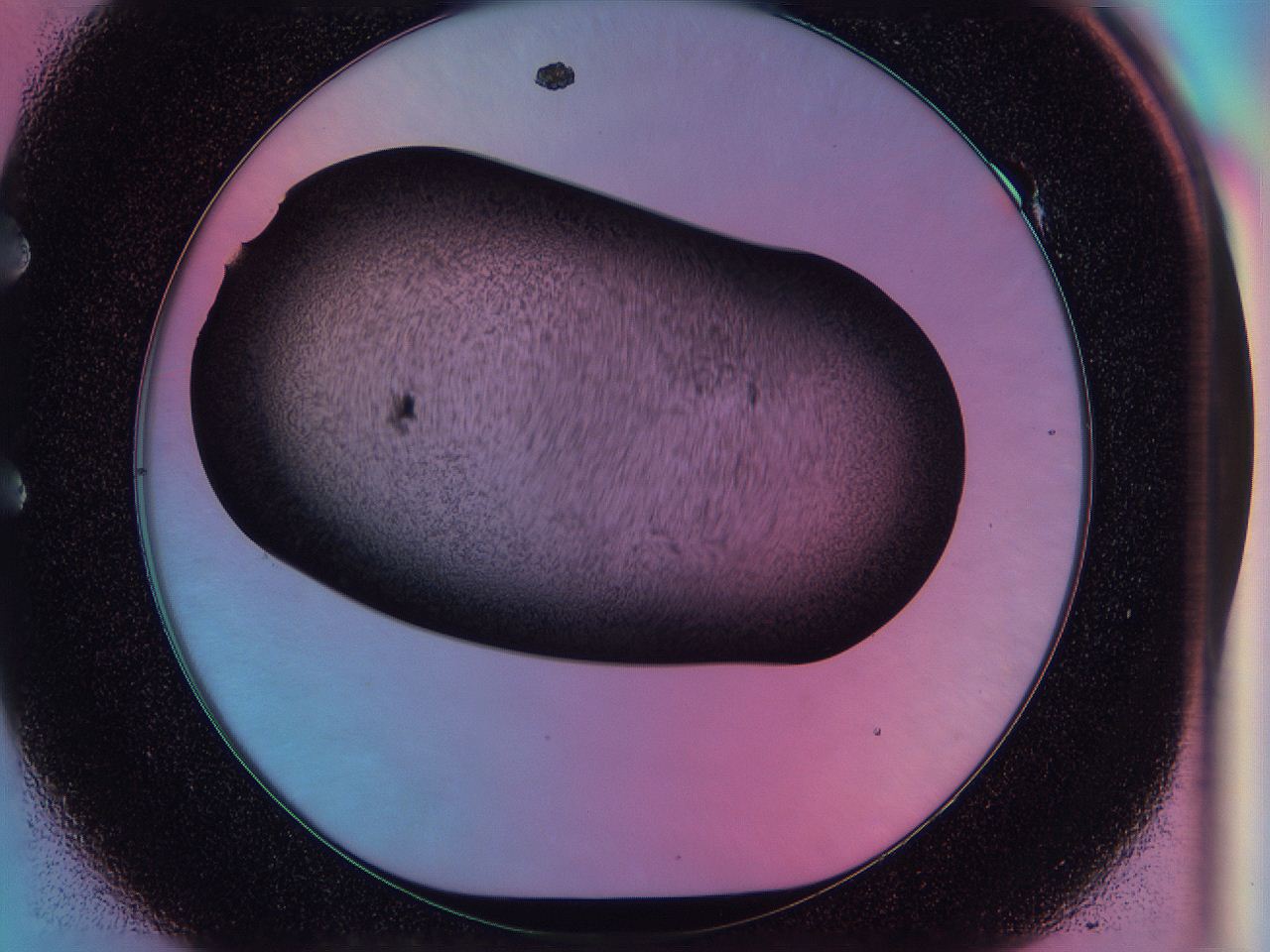 0583_E1_ImagerDefaults_3.jpg