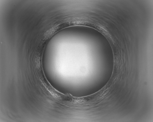 X0000055060401200508161651.png