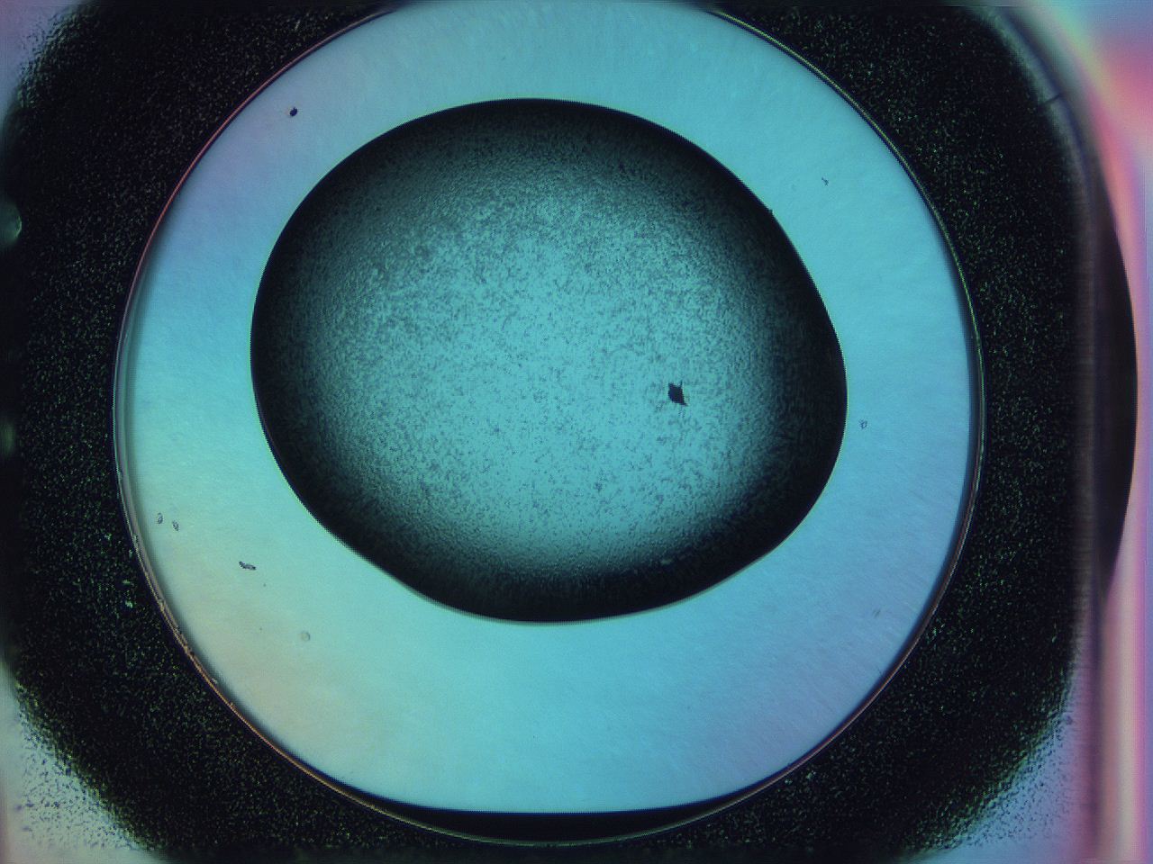 0583_E4_ImagerDefaults_3.jpg