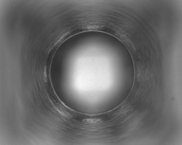 X0000055060251200508161653.png