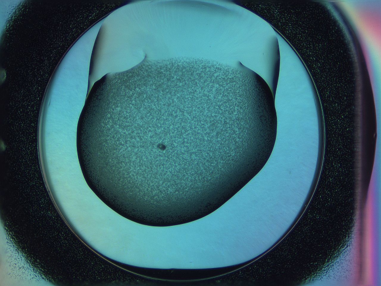 0583_E5_ImagerDefaults_3.jpg