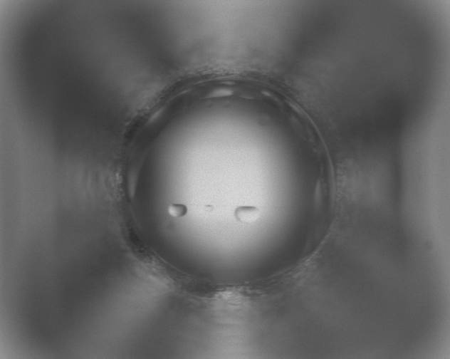 X0000052150167200507052001.png