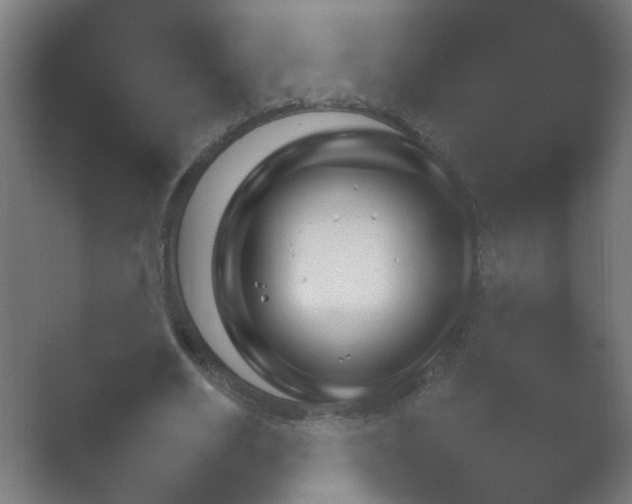 X0000054930630200508291632.png