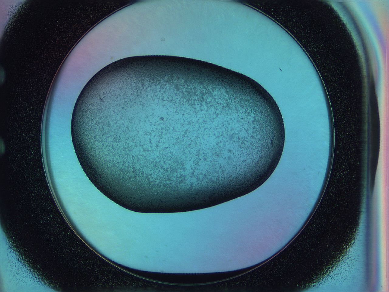 0583_E9_ImagerDefaults_3.jpg
