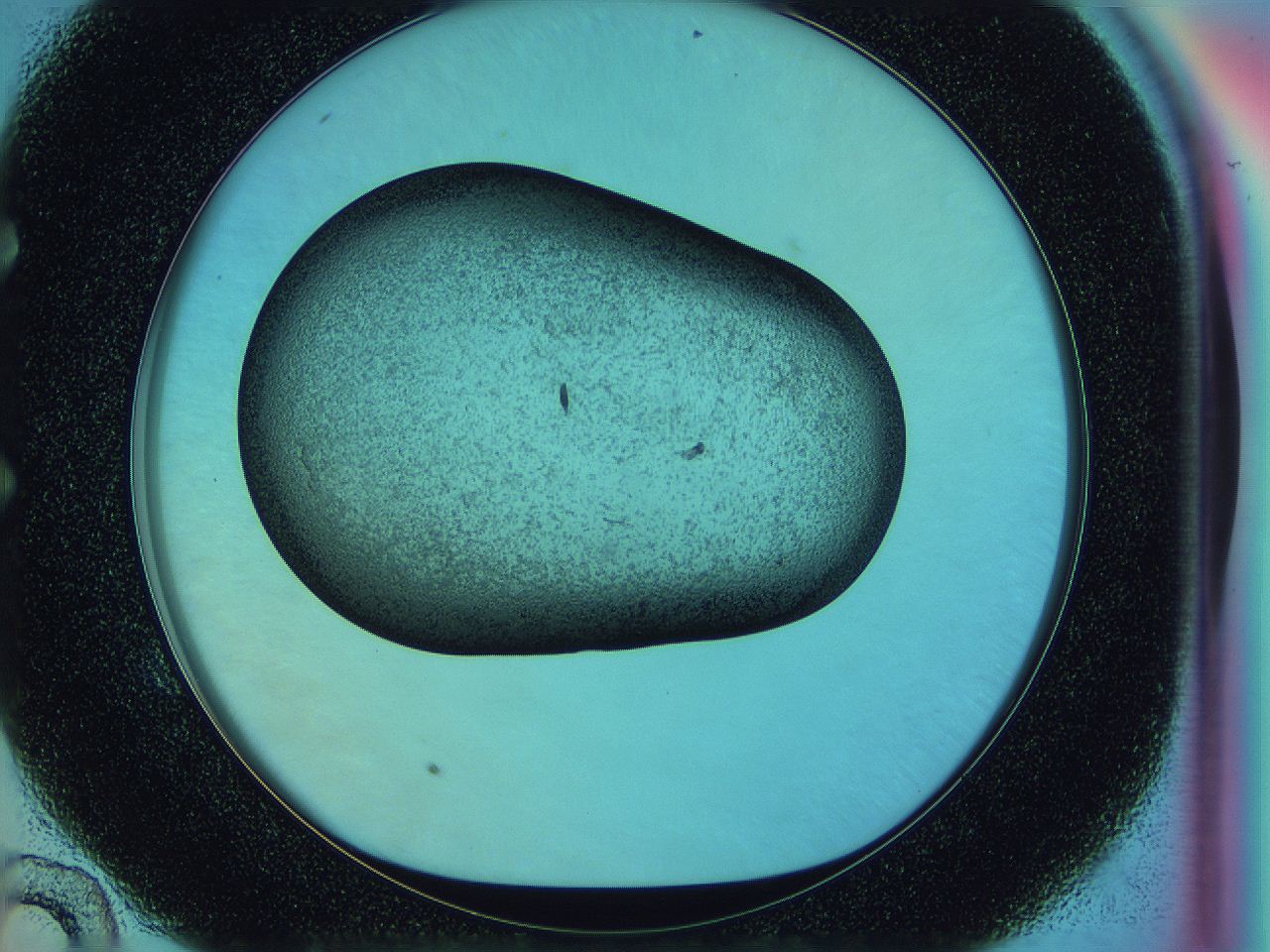 0583_E10_ImagerDefaults_3.jpg
