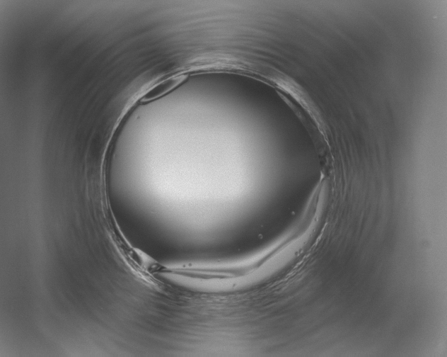 X0000055211242200508301313.png
