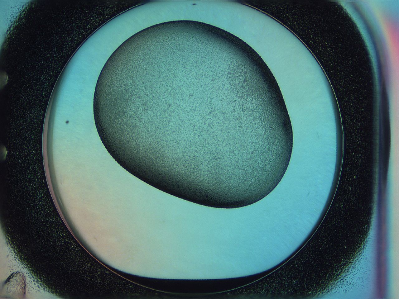 0583_E11_ImagerDefaults_3.jpg