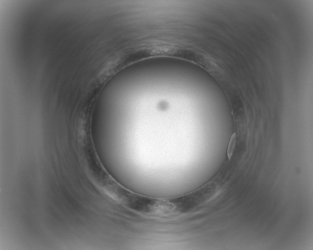 X0000054330215200508111927.png