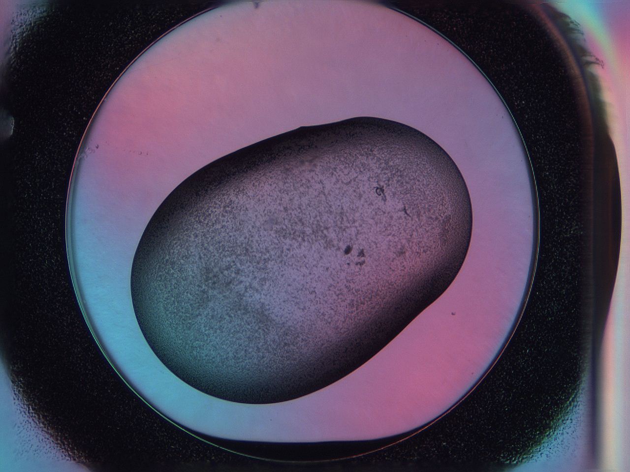 0583_F1_ImagerDefaults_3.jpg