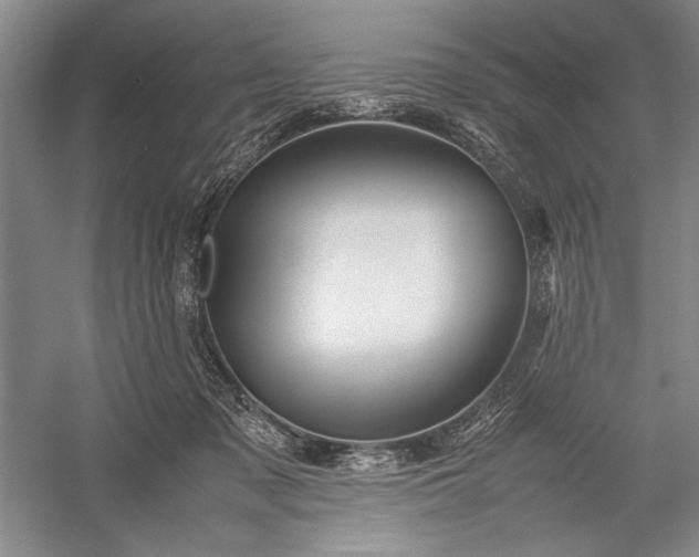 X0000055060317200508161652.png
