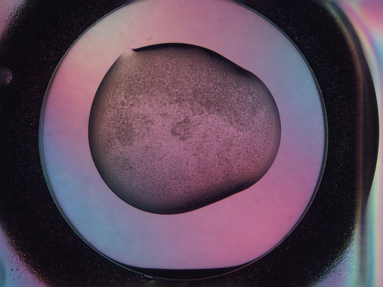 0583_F2_ImagerDefaults_3.jpg