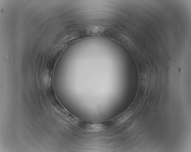X0000054650324200508091648.png