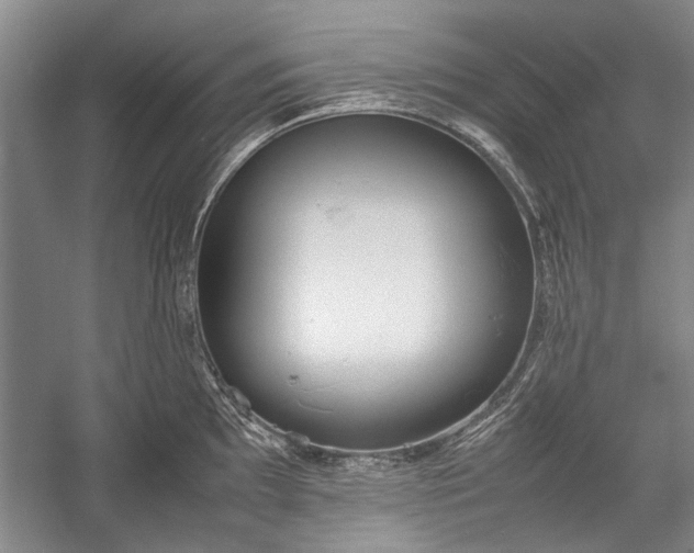 X0000055061097200508161639.png