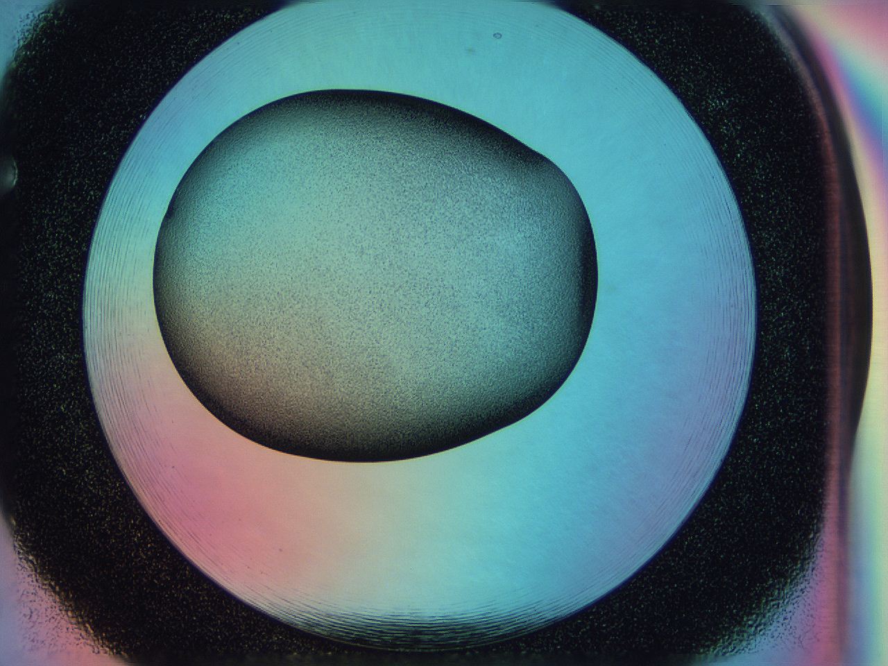 0583_F5_ImagerDefaults_3.jpg