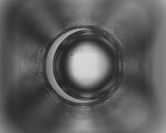 X0000041780833200411271518.png