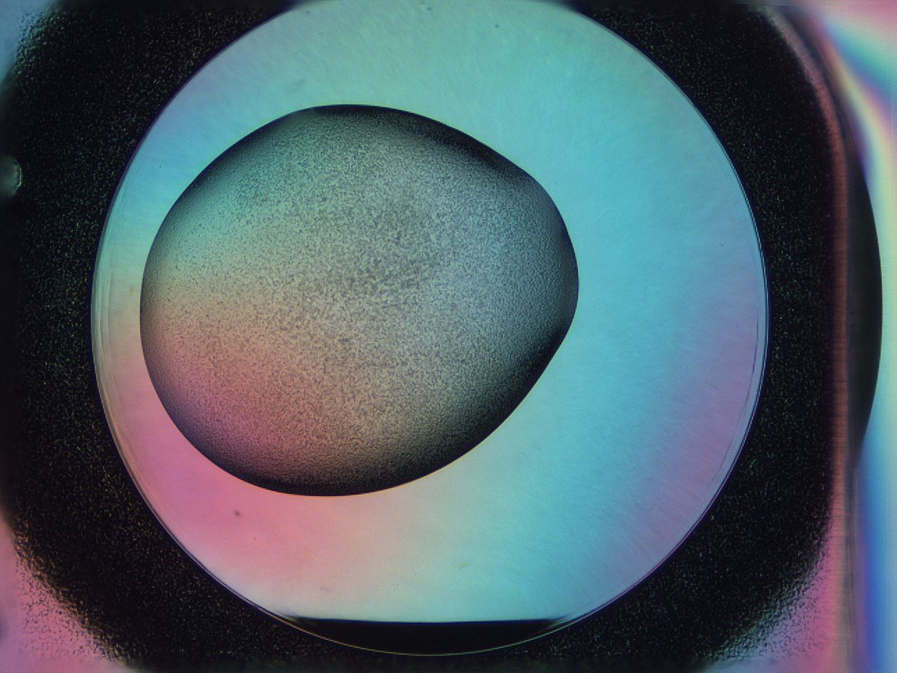 0583_F6_ImagerDefaults_3.jpg