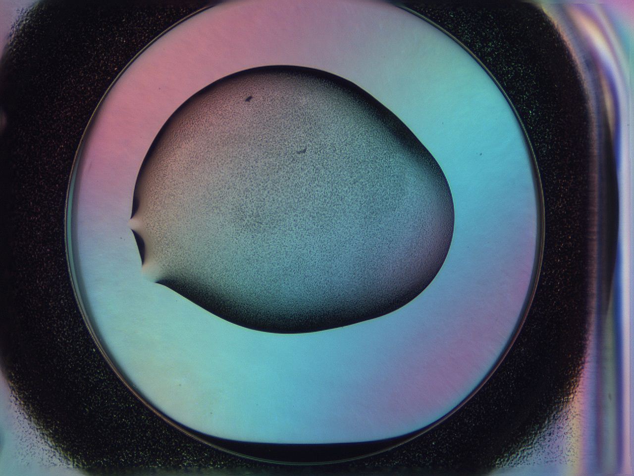 0583_F7_ImagerDefaults_3.jpg
