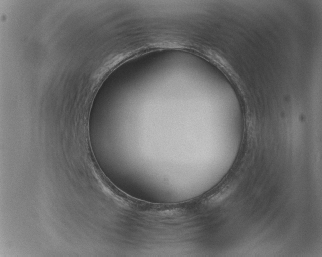 X0000054650433200508091645.png