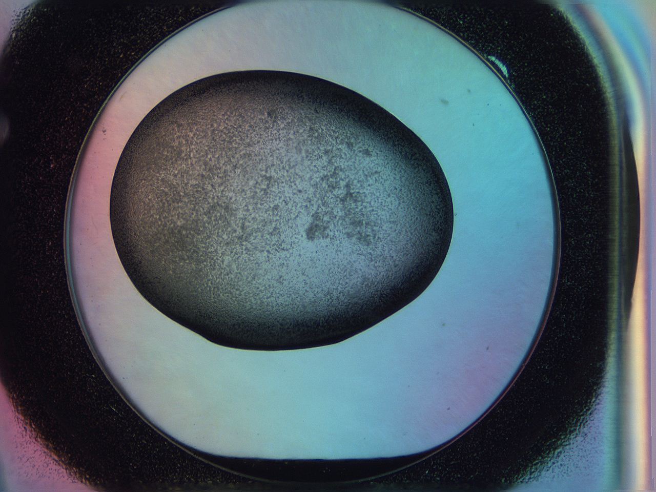 0583_F9_ImagerDefaults_3.jpg