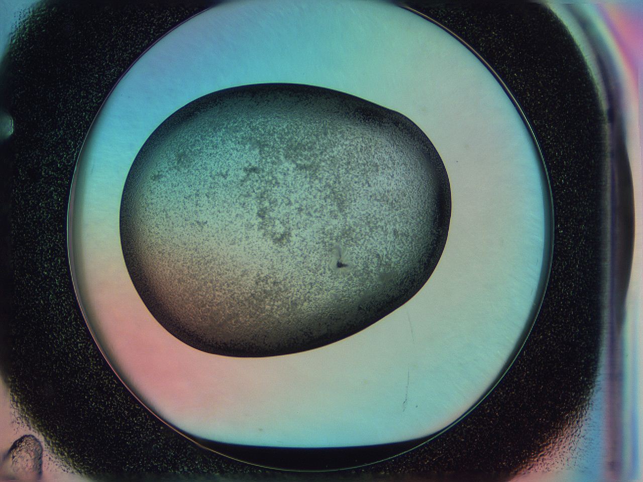 0583_F11_ImagerDefaults_3.jpg