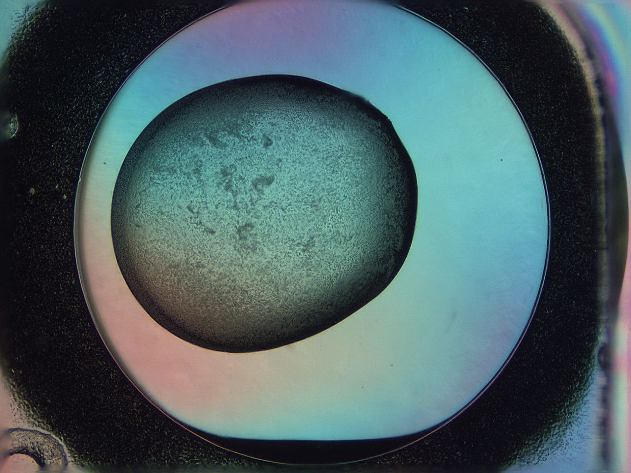 0583_F12_ImagerDefaults_3.jpg