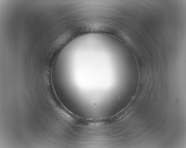 X0000054330450200508111923.png
