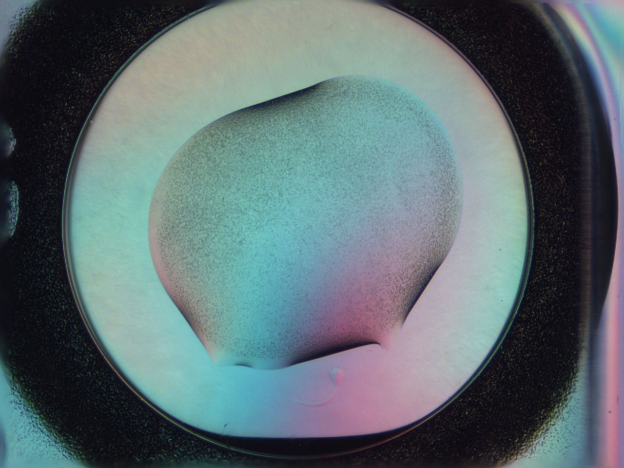 0583_G2_ImagerDefaults_2.jpg