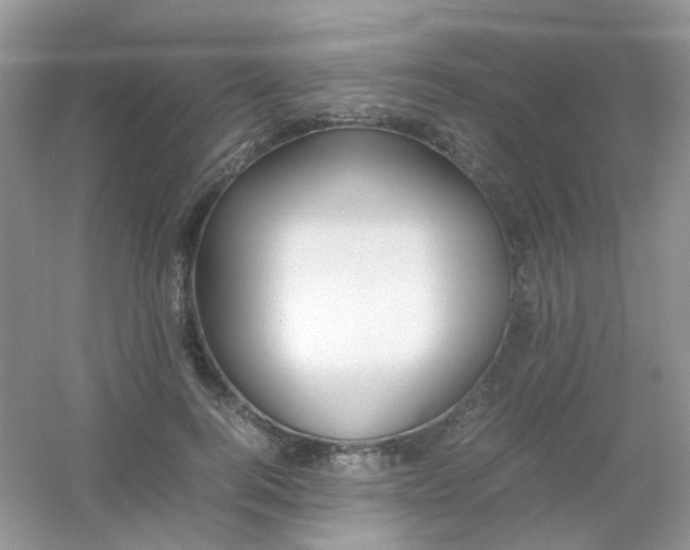 X0000054330744200508111918.png