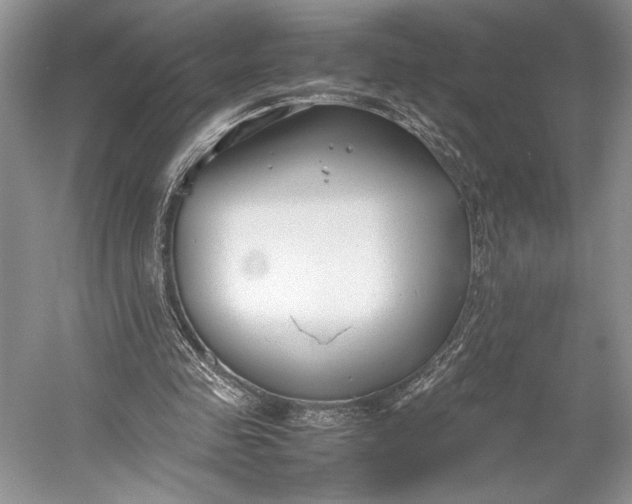 X0000055060341200508161651.png