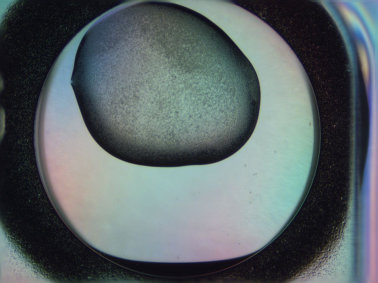 0583_G8_ImagerDefaults_3.jpg