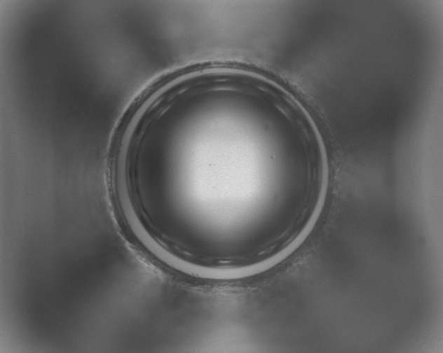 X0000054970942200509051500.png